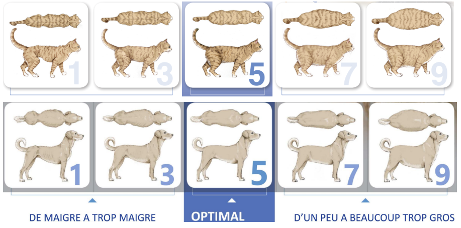 capture d'écran 2025 12 13 205308